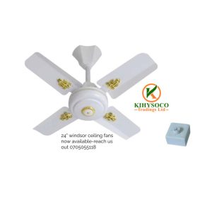 24’’ Windsor ceiling fan