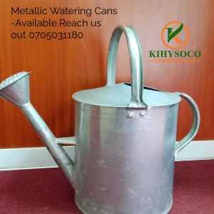 Metallic Watering Cans