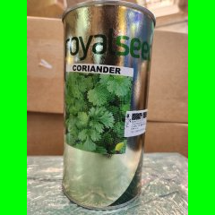 Coriander (Dhania - Royal)