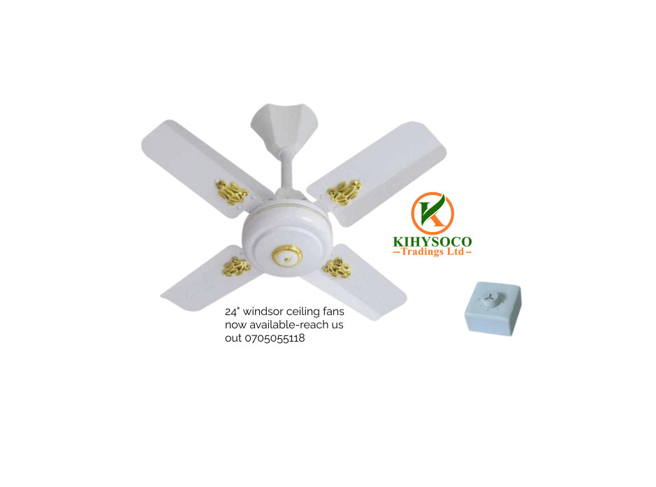 24’’ Windsor Ceiling Fan