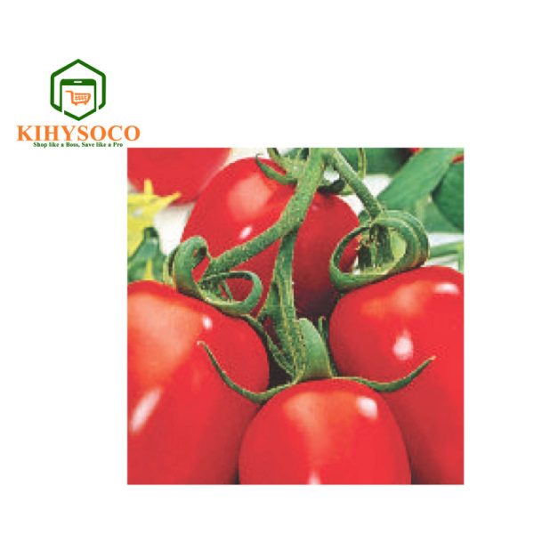 Kihysoco - Best, Reliable, and Affordable Shop for Tomato Rio Grande OPV Seeds in Nairobi