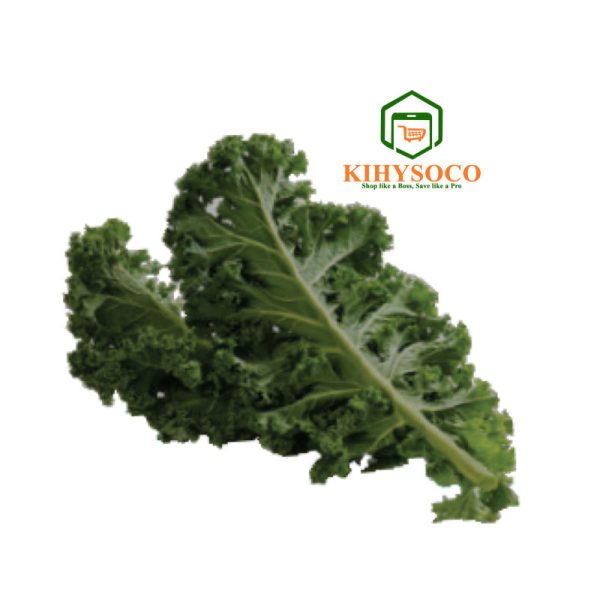 Kihysoco - Best, Reliable, and Affordable Shop for Kale Half Tall Curled OPV Seeds in Nairobi