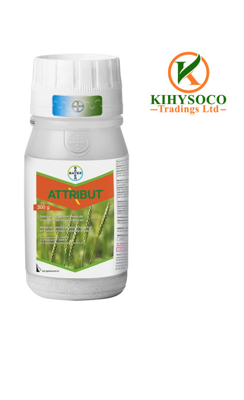 ATTRIBUT WG 70
