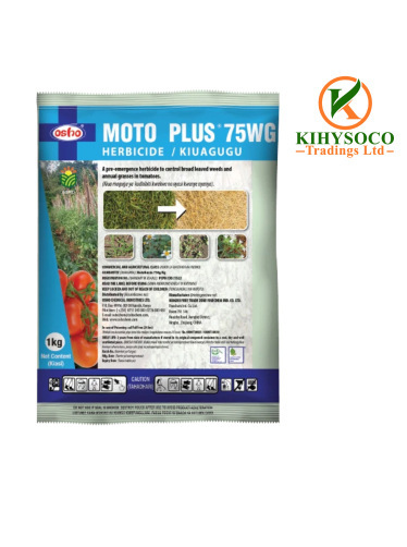 MOTO PLUS® 75WG