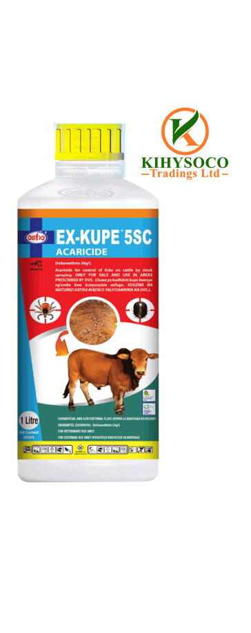 EX–KUPE 5SC