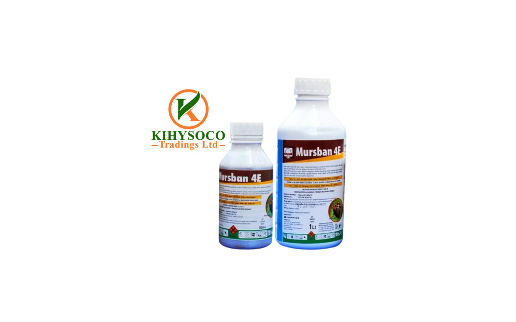 MURSBAN