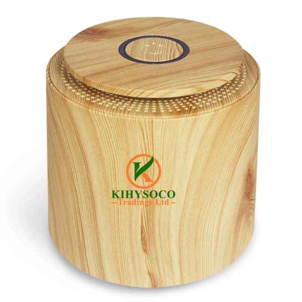 Air Purifier with HEPA Filter