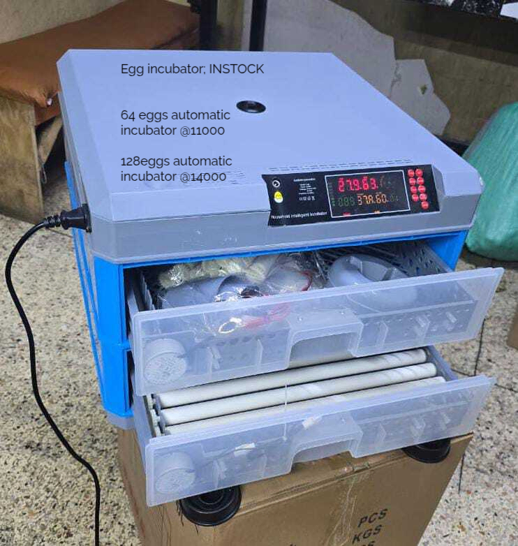 64/128 Capacity Egg Incubators
