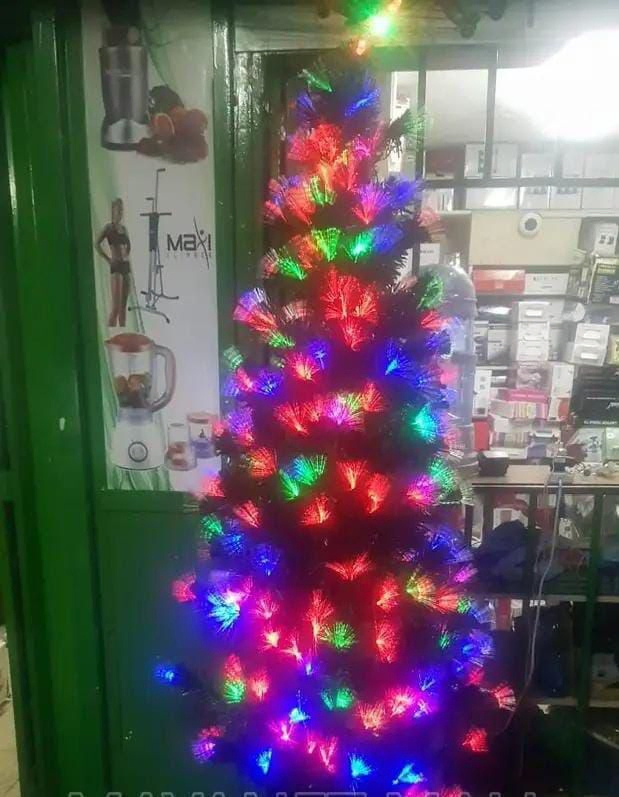 Cypress Christmas Trees with Inbuilt Lights