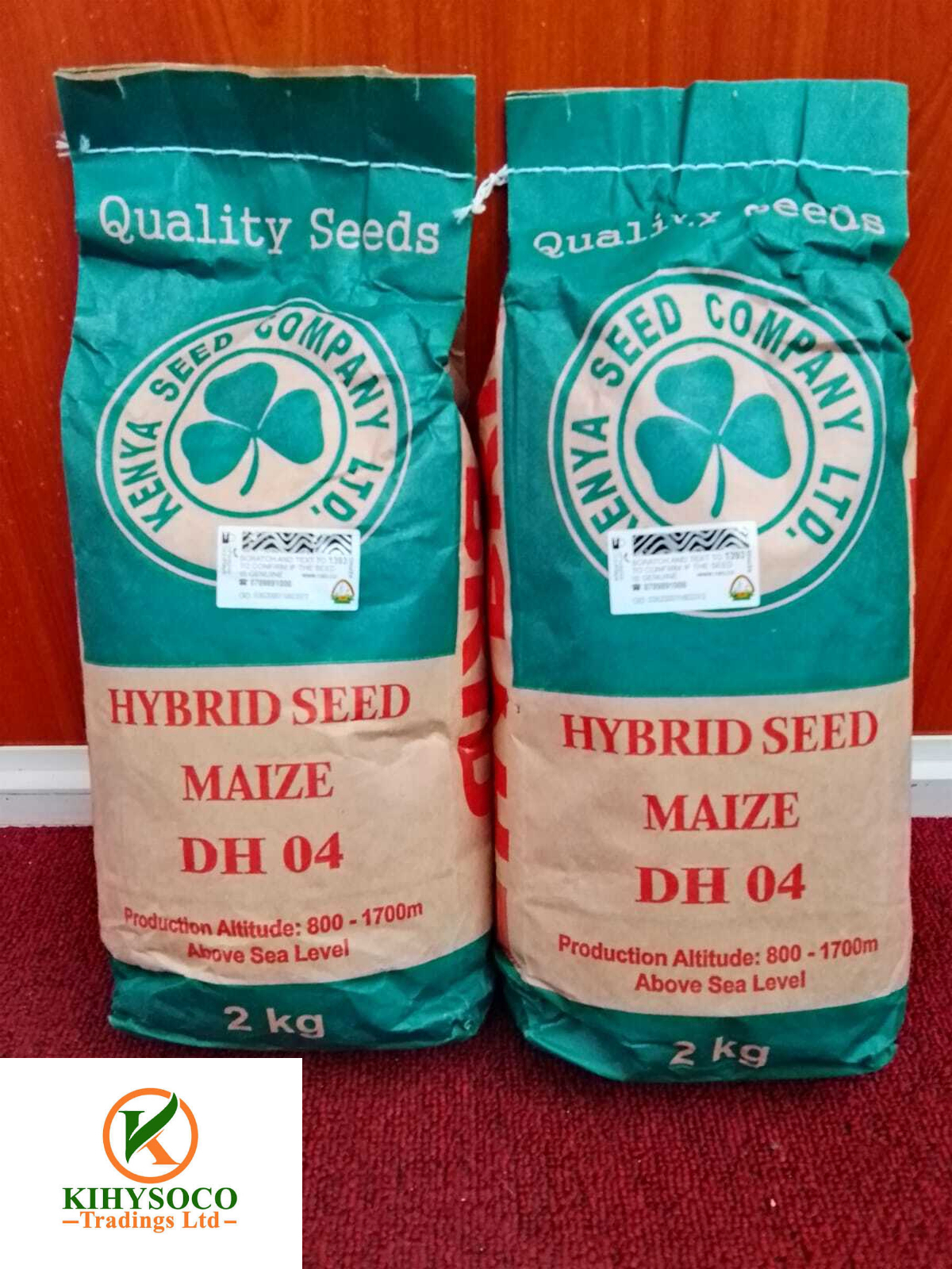 DH 04 Hybrid Maize Seeds