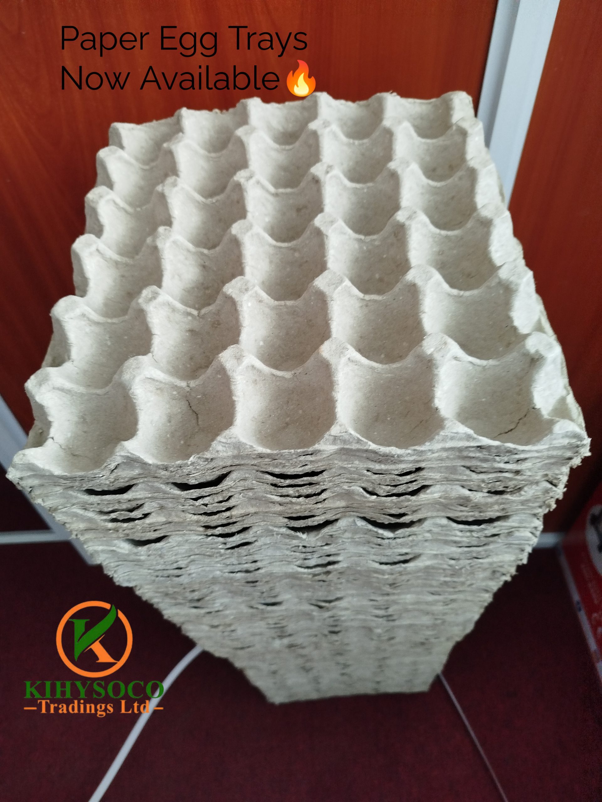 Paper Egg Trays