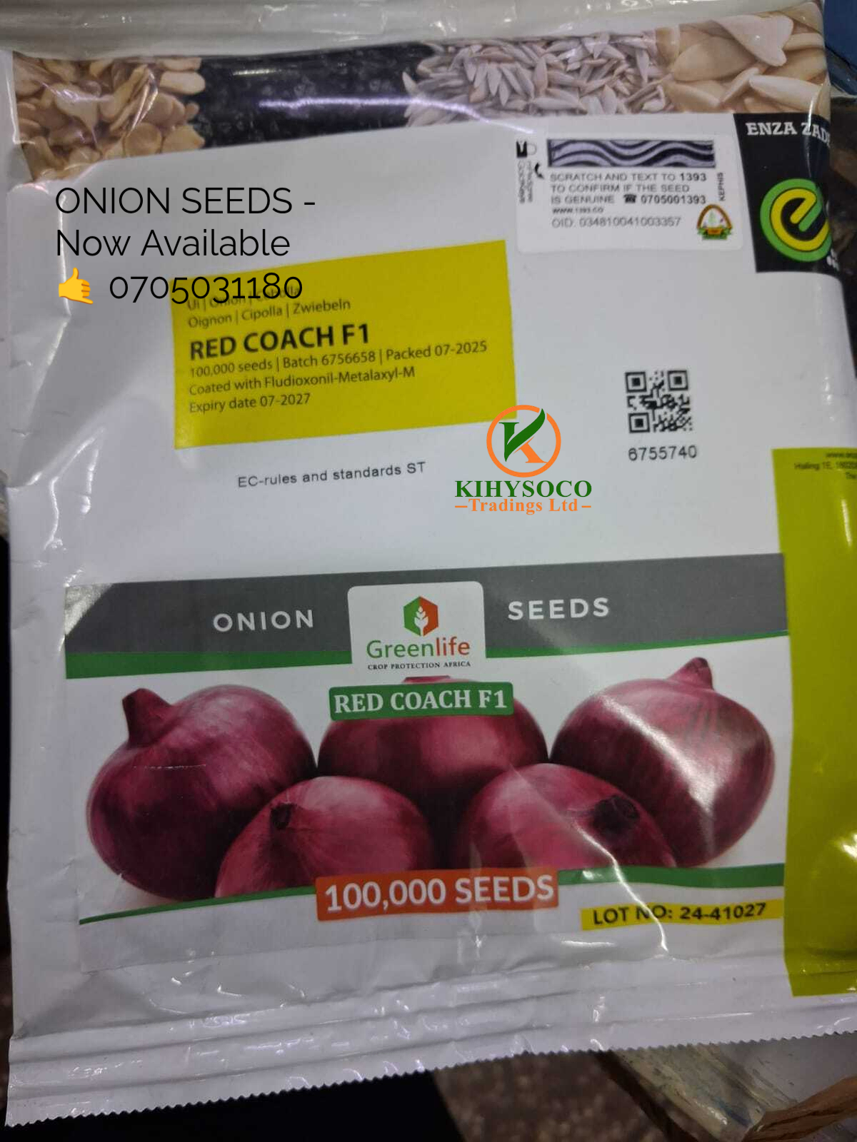 Red Coach F1 Onion Seeds