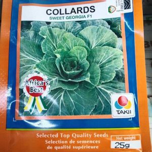 Best F1 Collards (Sukuma Wiki/Kale) Seeds Supplier in Nairobi, Kenya – Kihysoco Tradings Ltd