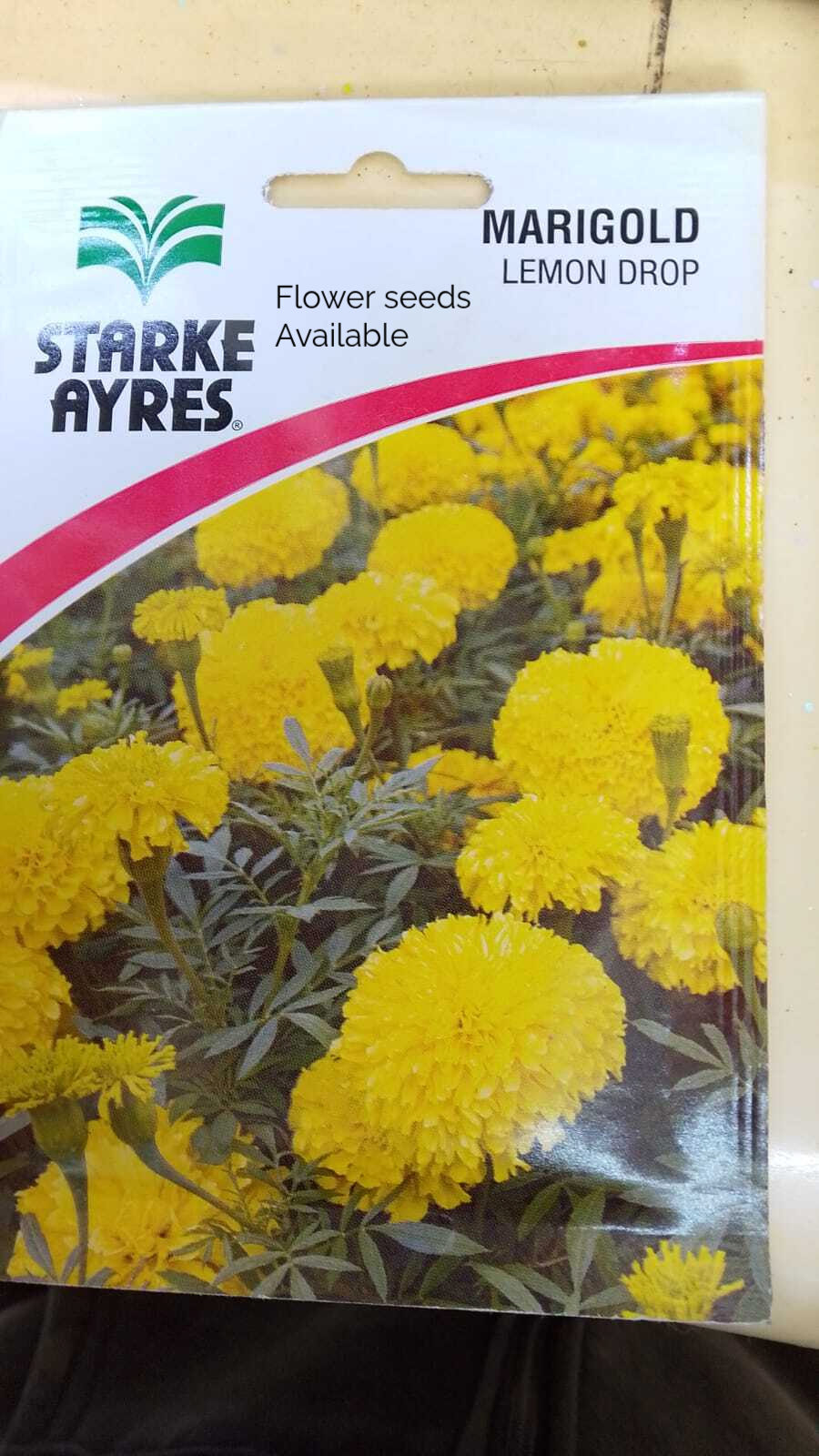 Premium Quality Flower Seeds