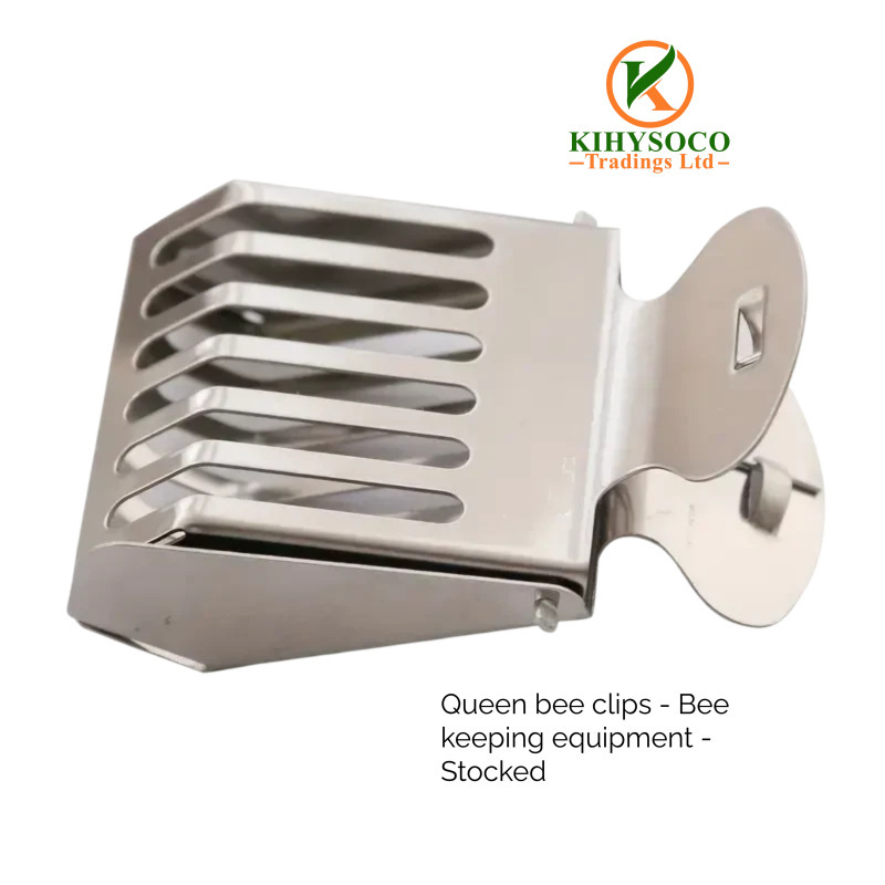Queen Bee Clips