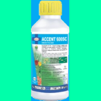 Accent 600 SC