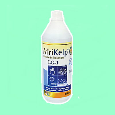 Afrikelp