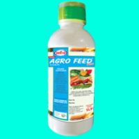 Agro Feed