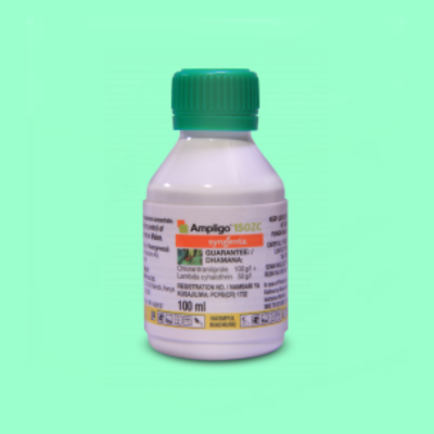 Ampligo Insecticide: Effective Pest Control for Healthy Crops