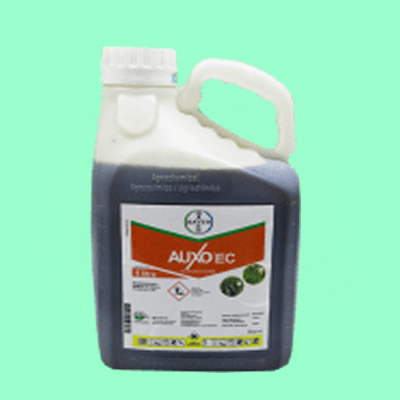 Auxo EC337