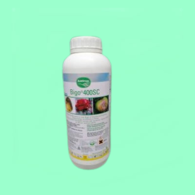 BIGO® 400SC