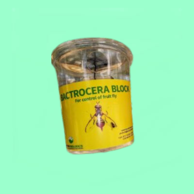 Bactrocera-Block