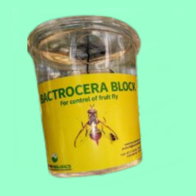 Bactrocera Complete Set