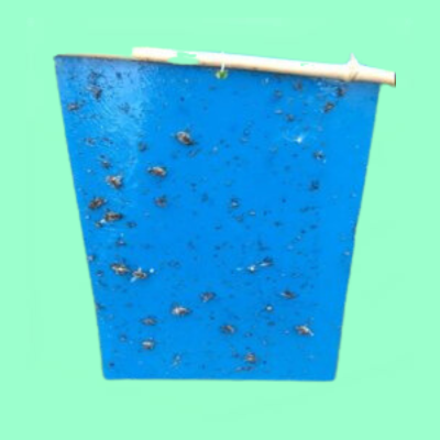 Blue Sticky Paper