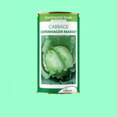 Cabbage Copenhagen Market