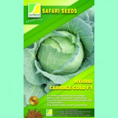 Cabbage Gold F1