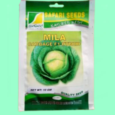 Cabbage Mila F1