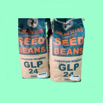 Canadian Wonder (GLP24)