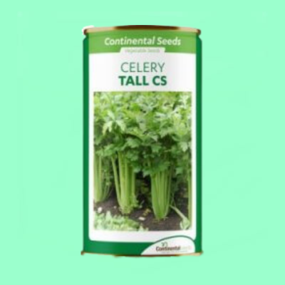 Celery Tall CS