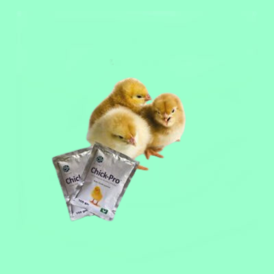 Chick Pro-100gm