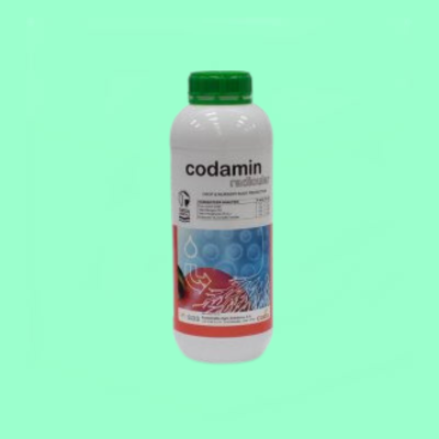 Codamin Radicular