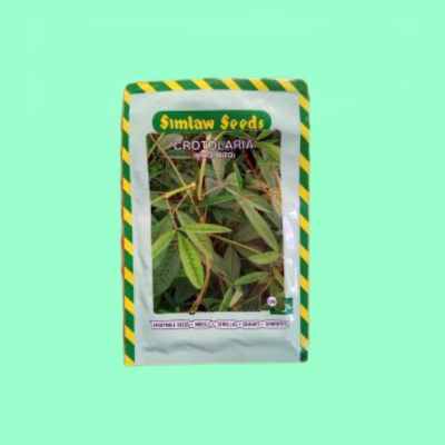 Crotalaria (MITO) /Sunhemp