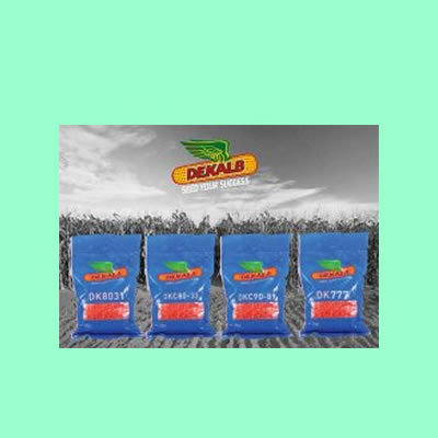 DKC90-89 Hybrid Maize - 2Kg