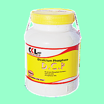 Dicalcium Phosphate (DCP)
