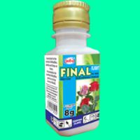 Final flight 25WG