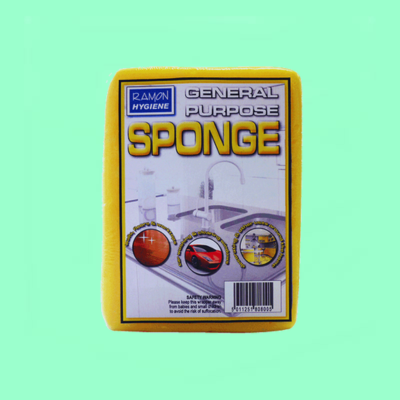 General Purpose Sponge