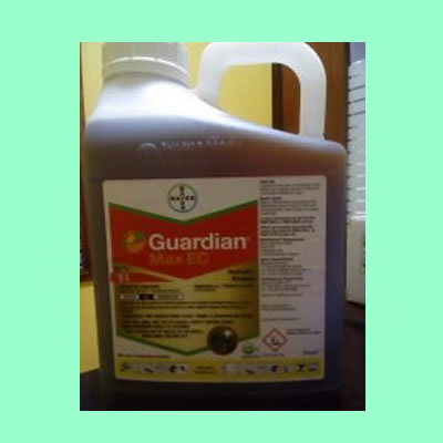 Guardian Max EC867