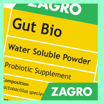 Gut Bio - 100gr