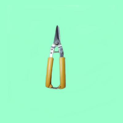 Hoof trimmer