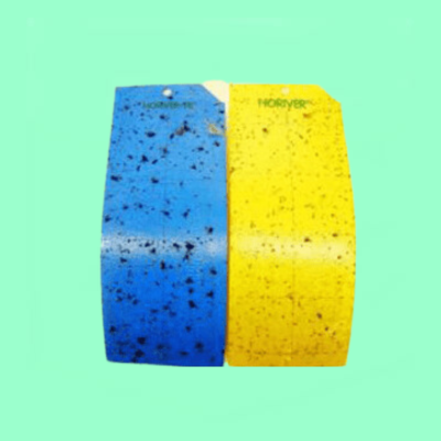 Horiver Insect Traps - 10 Pack