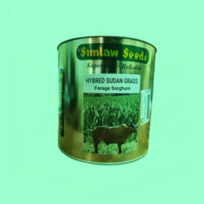 Hybred Sudan Grass - 1Kg