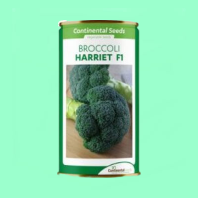 Hybrid Broccoli Rock F1