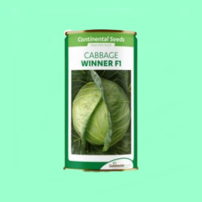 Hybrid Cabbage Winner F1