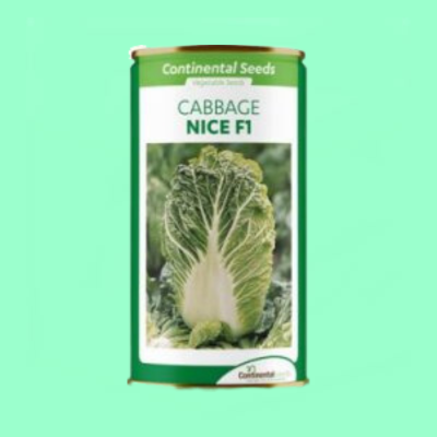 Hybrid Chinese Cabbage Nice F1