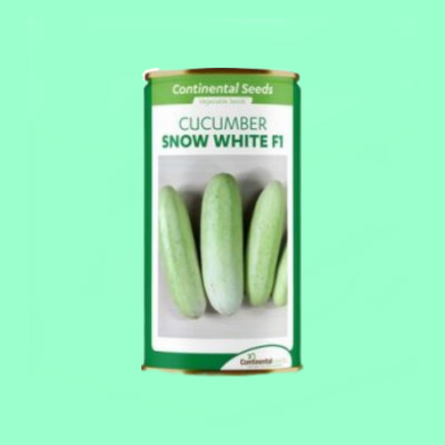 Hybrid Cucumber Snow White F1