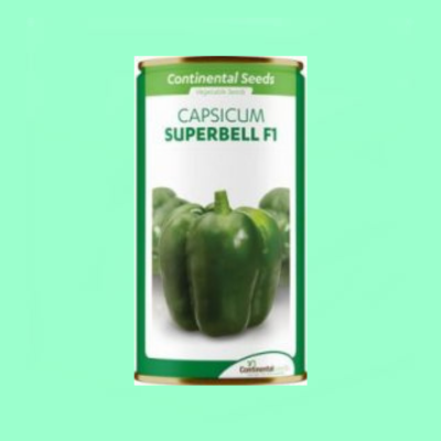 Hybrid Green Pepper Superbell F1
